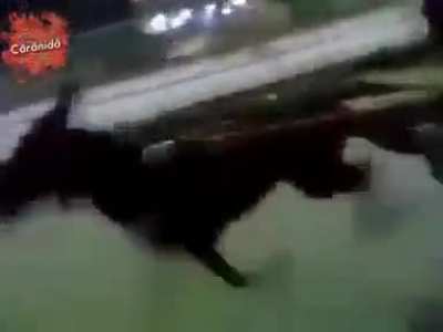 Burro drogado