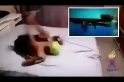 Online P.E class