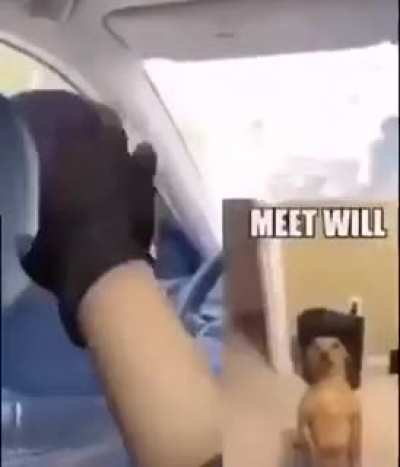 æ