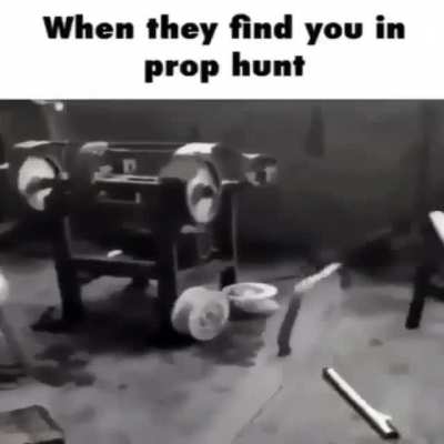 Run Sean RUNN