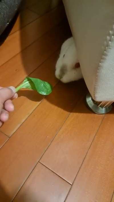 I was trying to get her to come out.. 