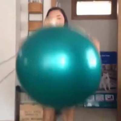 (+4702) Hamster exercise ball, WCGW?