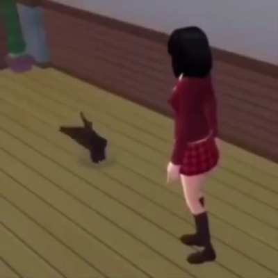 cat