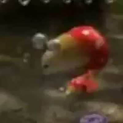 the borb
