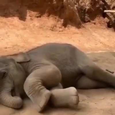 Sorry, Can’t do the interview at this time. I am sleepy