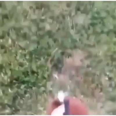 Where is petscop 2