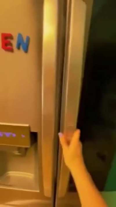 Smart fridge.
