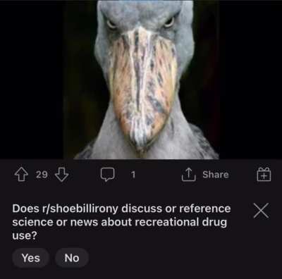 Shoebill