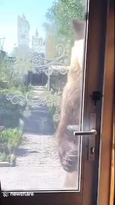 Excuse me, sir. Do you have a moment to talk about our Lord and Saviour, Lyanna Mormont?