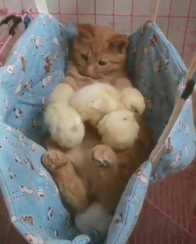 My little kids