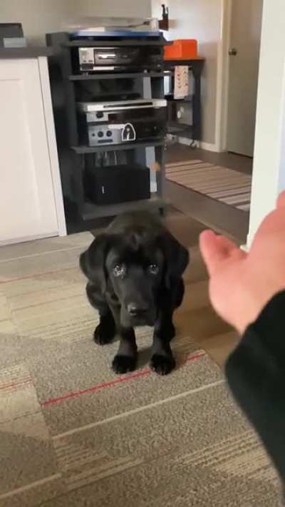 Almost!