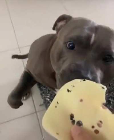 Way to heckin cute
