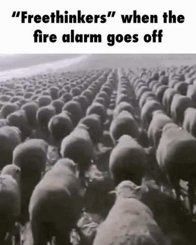 Rule