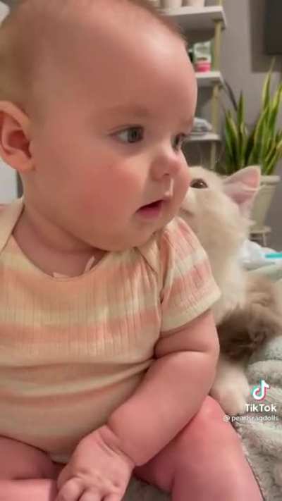 Meeting the new kitty