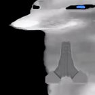 Dorimegalovania