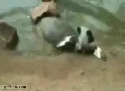i did not see that coming ending!
