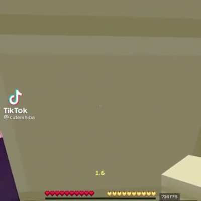 minceraft