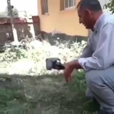 Fly little bird