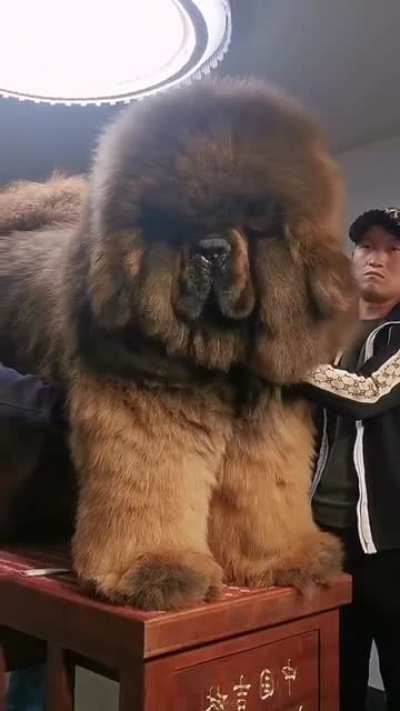 That’s a big boi