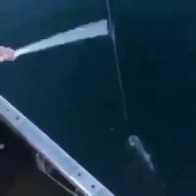 Russian Fishing