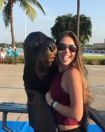 Mr seal your girl.