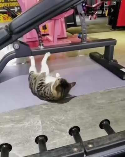strength of a hero