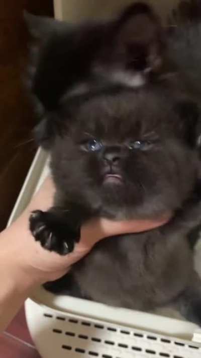 So round, so screem