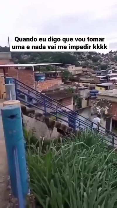 😱😱😱