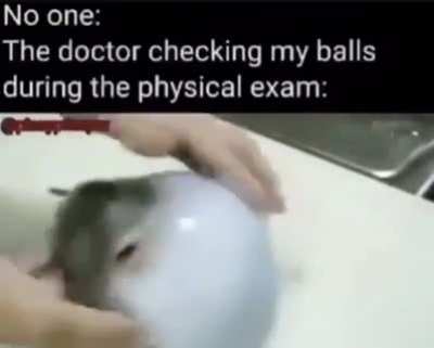 jiggle