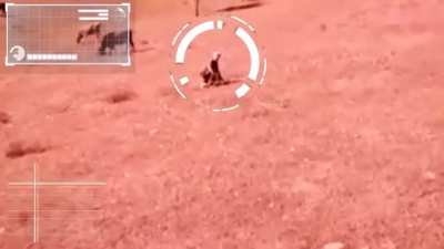 Terminatör gerçek oldu. Yapay zeka ayaklanıyor! Bayılıyorum bu videoya amk. @Seigard