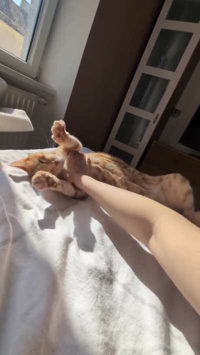 It's not a trap!