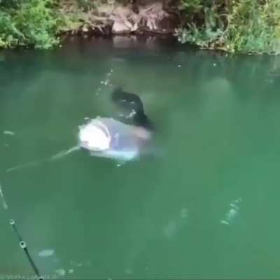 Seemed like a peaceful little swimming hole...