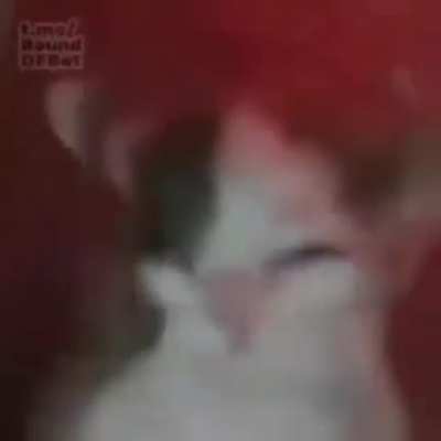poronga