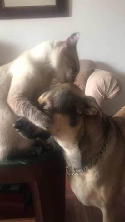Brother love