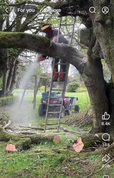 Mmm. Ladders & Chainsaws.