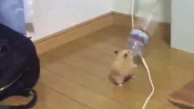 Mão pra cima chat