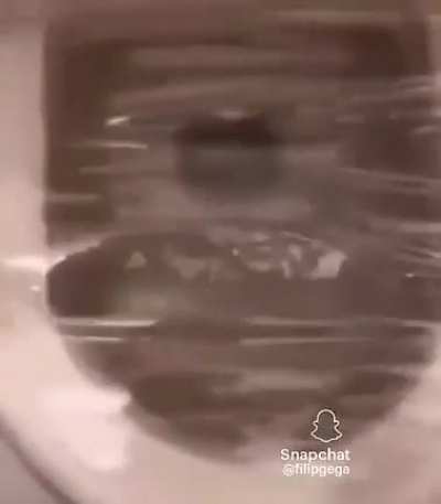 Saw this post and immediately thought of this sub!