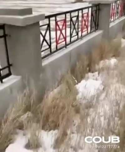 Что-то пошло не так