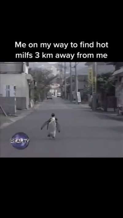 where are they
