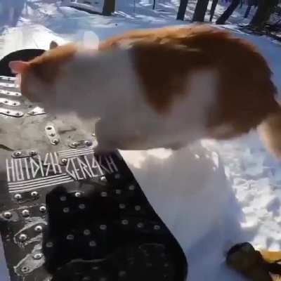 What remix is this? (don't mind the video)