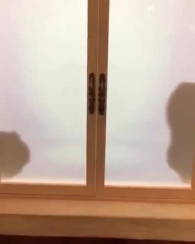 Toy story shadow box