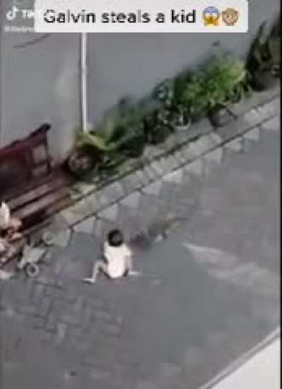My baby monke people need me