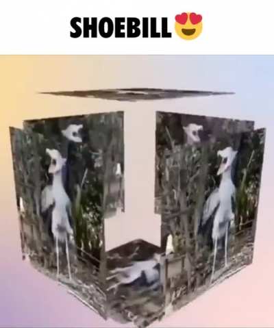 😍