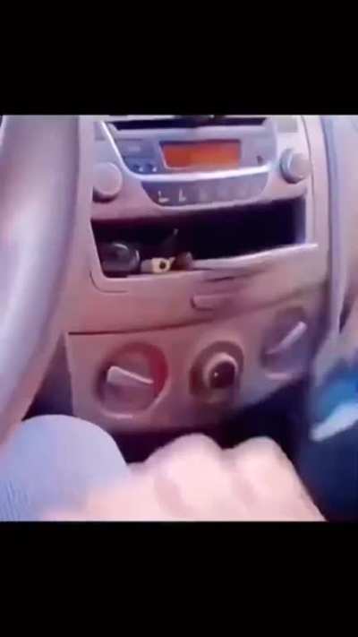Que isso passarinho