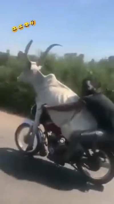 New here