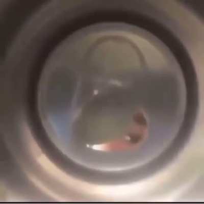 👀👀👀