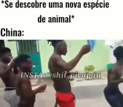 Bom dia