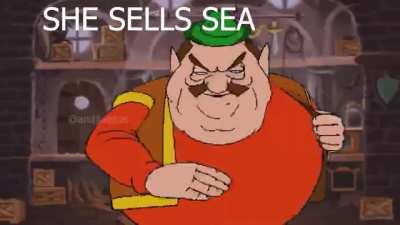 She shells sea sells