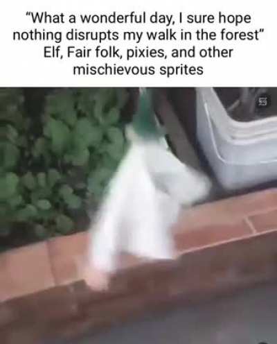 mischievous rule