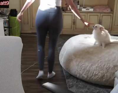 🍑